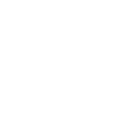 Guardian Mind Institute